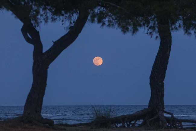πανσεληνος