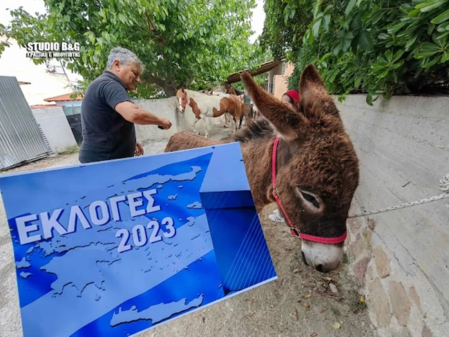 Ολα τα ευτράπελα της κάλπης- Νύφες και γαμπροί στις κάλπες και ο αγρότης πάνω στο άλογο