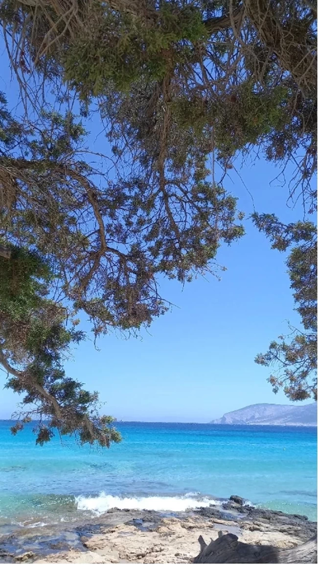 νικολουλη