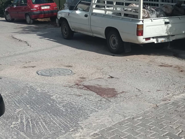 ΒΟΙΩΤΙΑ ΡΟΜΑ