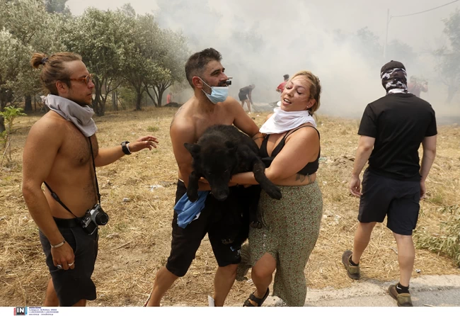 ΖΩΑ ΠΑΡΝΗΘΑ