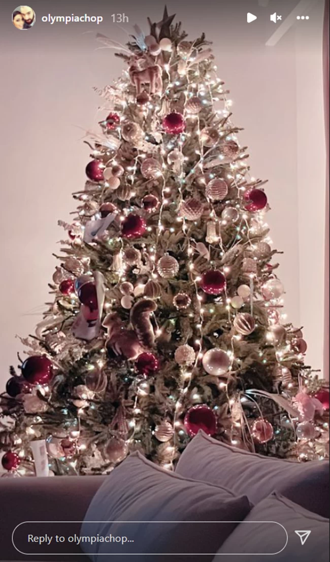 Χοψονίδου - Σπανούλης: Το ασφυκτικά γεμάτο χριστουγεννιάτικο δέντρο με μπάλες, φωτάκια και ζωάκια
