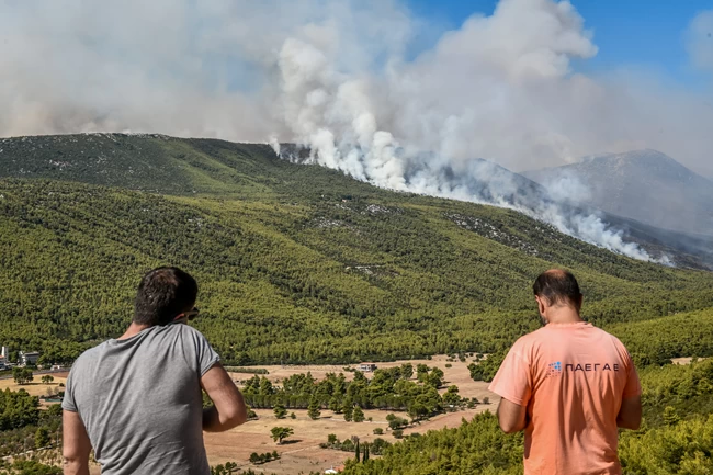 Φωτιά στα Βίλια: Εχουν καεί πάνω από 80.000 στρέμματα - Ανησυχία για το δάσος σε Παλαιοχώρι και Οινόη