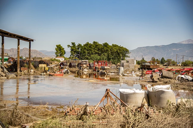 Ανδρουλακης