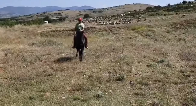 Λάρισα Βοσκός