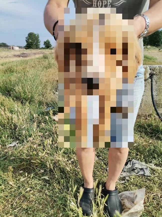 ΚΟΥΤΑΒΑΚΙΑ ΝΕΚΡΑ