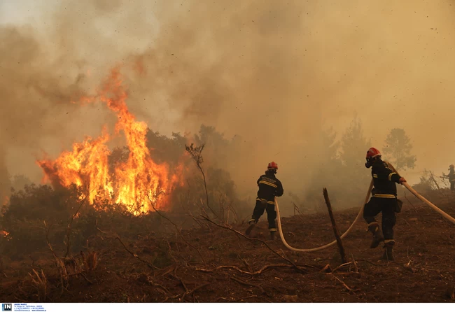 Η επικεφαλής της WWF αποδομεί όσα "παλαβά" ακούγονται για τις φωτιές στην Εύβοια και τις ανεμογεννήτριες