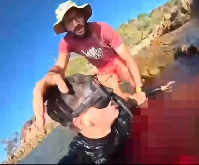 ΑΥΣΤΡΑΛΙΑ ΚΑΡΧΑΡΙΑΣ