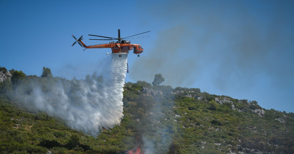 Πυρκαγιά σε δασική έκταση στα όρια Λάρισας–Πιερίας