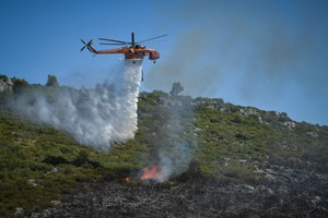 Πυρκαγιά σε δασική έκταση στα όρια Λάρισας–Πιερίας