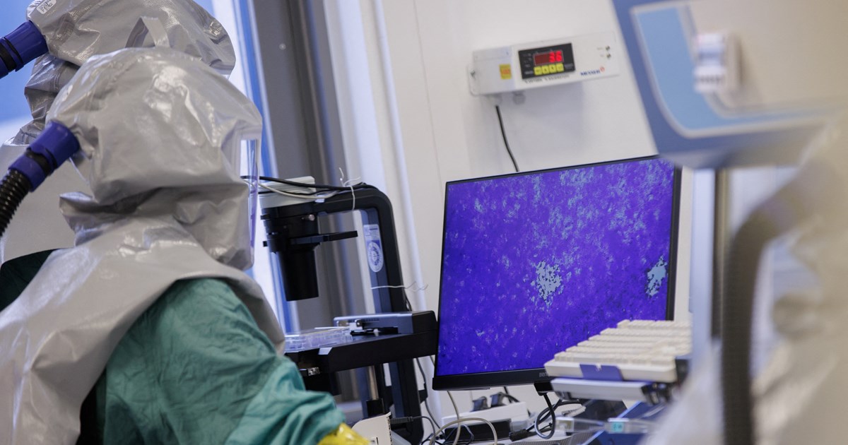 Μετάλλαξη Deltacron: "Bεβιασμένη και επιστημονικά ανήθικη", η δήλωση Μαγιορκίνη απαντά ο Κύπριος επιστήμονας που την ταυτοποίησε