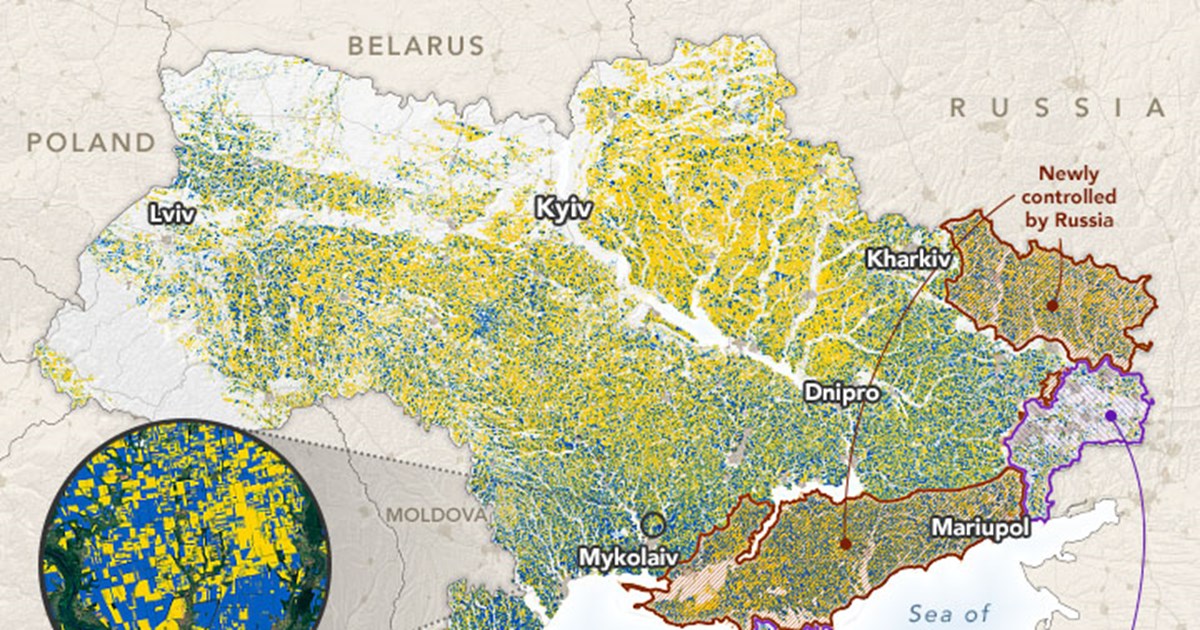 Κωνσταντινούπολη: Τουρκία, Ρωσία, Ουκρανία και ΟΗΕ συζητούν τις εξαγωγές σιτηρών - εικόνα 2
