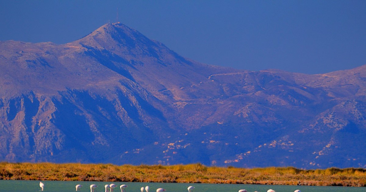 Το Εθνικό Σχέδιο Δράσης για τον ελληνικό τουρισμό παρουσίασε στον Πρωθυπουργό Κυριάκο Μητσοτάκη ο ΣΕΤΕ