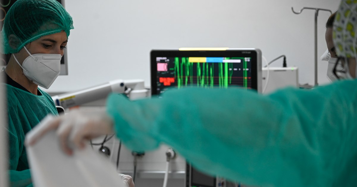 Ρέθυμνο: Επανεμφανίστηκε στον ίδιο ασθενή ο ανθεκτικός μύκητας Candida auris