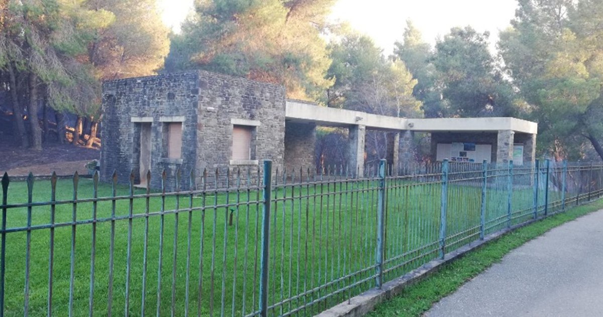 Ηλεία: Τρεις φωτιές σε μία ώρα ξέσπασαν στην περιοχή – Οριοθετήθηκε το ένα μέτωπο [εικόνες - βίντεο] - εικόνα 8