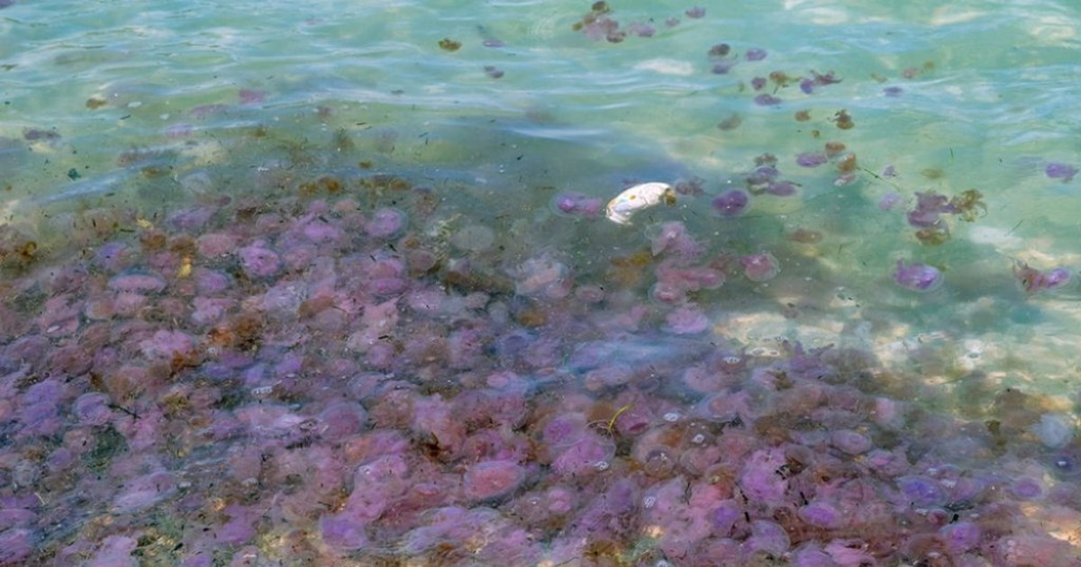 Οι τρεις επεκτάσεις του Μετρό αλλάζουν την καθημερινότητα - Οι νέοι σταθμοί και πότε ολοκληρώνονται τα έργα