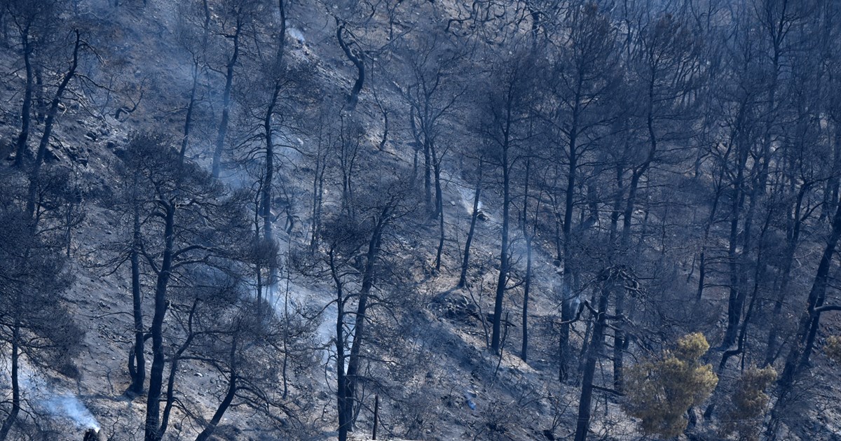 ΥΠΟΙΚ: Επέκταση της πλατφόρμας για τους πυρόπληκτους και απαλλαγές από τον ΕΝΦΙΑ - εικόνα 2