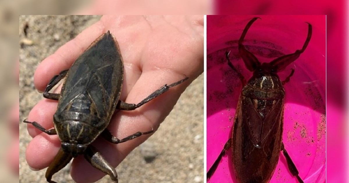 Θεσσαλονίκη: 45χρονος είχε βάλει GPS στο αυτοκίνητο της πρώην του - Τι βρήκαν στο σπίτι του