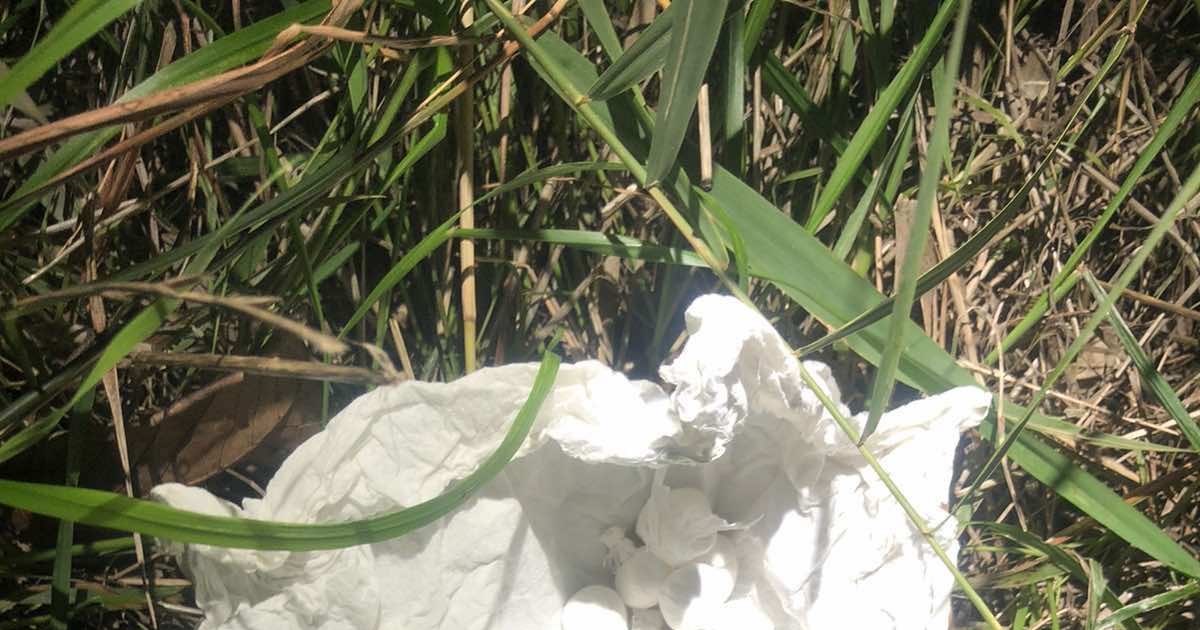 Πάτρα: Νυχτερινά καταστήματα και χώροι αναψυχής στο πελατολόγιο Αλβανού εμπόρου ναρκωτικών