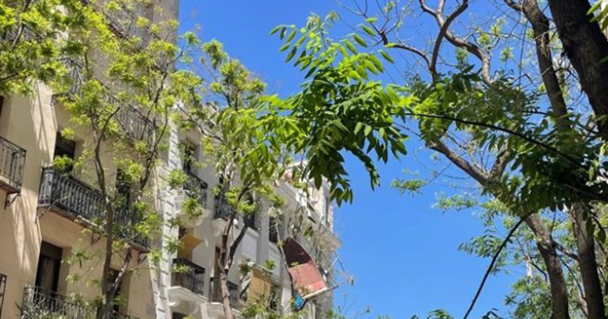 Βρετανία: Έρευνα κατά του αρχηγού των Εργατικών Κιρ Στάρμερ για παραβίαση των κανόνων κατά του κορονοϊού - εικόνα 2