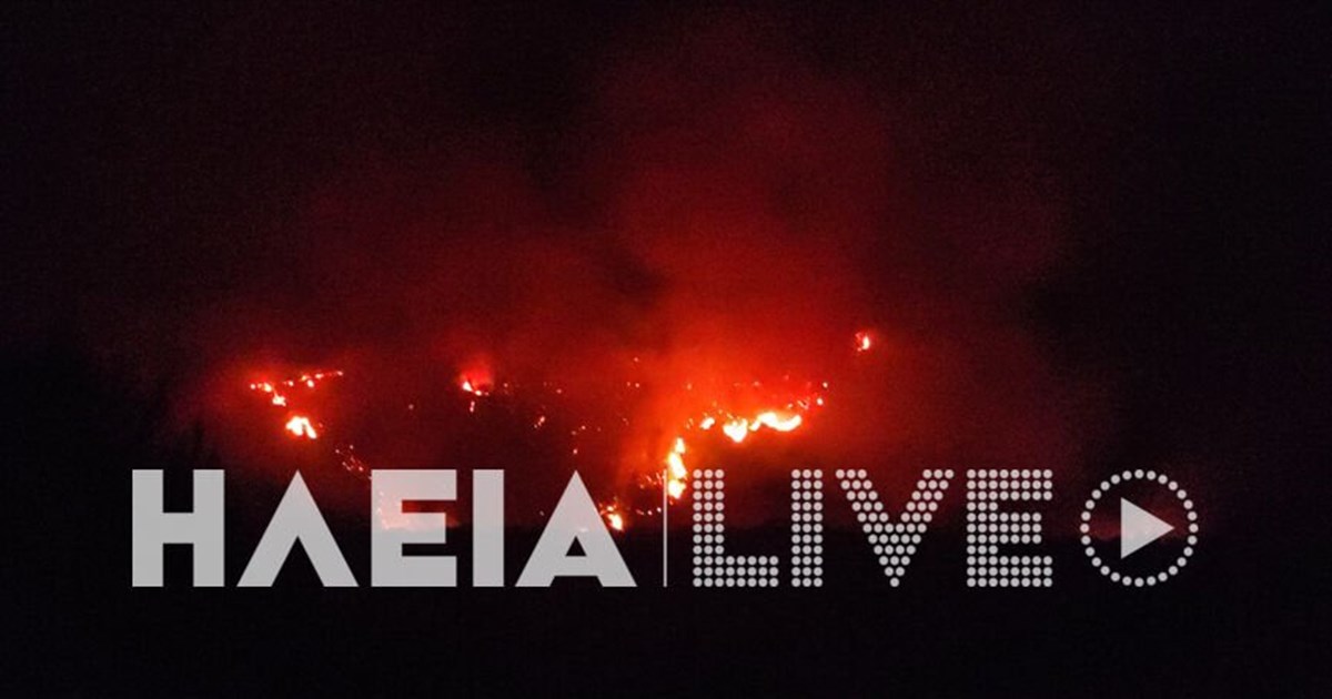 Συγκίνηση: Ρουμάνος πυροσβέστης σώζει μικρό πρόβατο στο Σχηματάρι από τη φωτιά - εικόνα 2