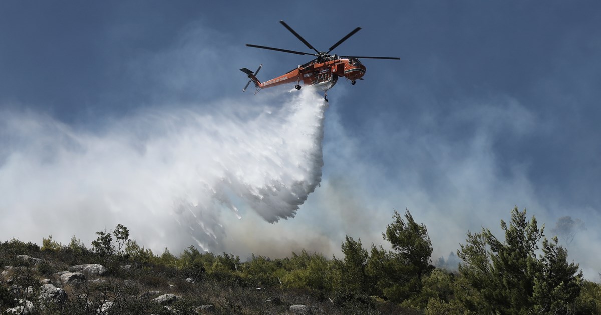 Μεγάλη κινητοποίηση στη Λευκάδα: Σε εξέλιξη η φωτιά στο Πόρτο Κατσίκι - Καίει κοντά σε σπίτια  [Εικόνες-βίντεο] - εικόνα 2