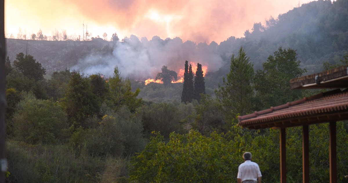 Φωτιά στην Αρχαία Ολυμπία: Εκκενώνονται 19 χωριά στην Ηλεία - Πληροφορίες... | Ελλάδα Ειδήσεις
