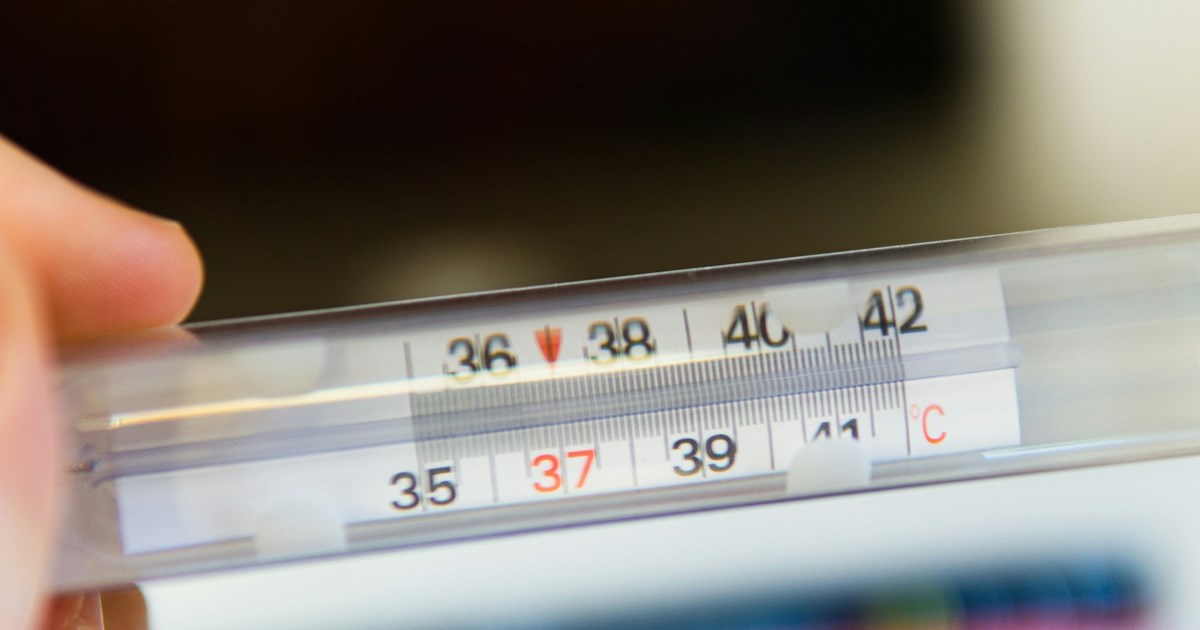 Προειδοποίηση για γενικευμένη μόλυνση με υδράργυρο σε κονσέρβες τόνου στην Ευρώπη - Δύο ΜΚΟ καταγγέλλουν σκάνδαλο