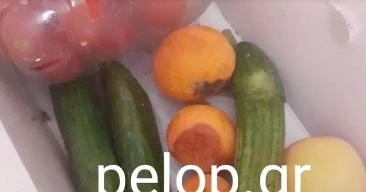 Βόλος: Συνελήφθη ο διαρρήκτης που έκλεψε κεταμίνες, αναισθητικά και ηρεμιστικά από κτηνιατρεία - εικόνα 2