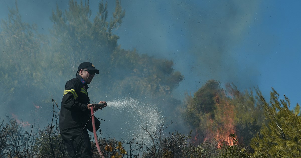 Θεσσαλονίκη: Ξεκίνησαν οι εργασίες αποκατάστασης μετά τους βανδαλισμούς στο ΑΠΘ