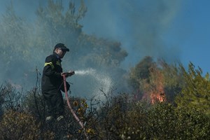 Θεσσαλονίκη: Ξεκίνησαν οι εργασίες αποκατάστασης μετά τους βανδαλισμούς στο ΑΠΘ