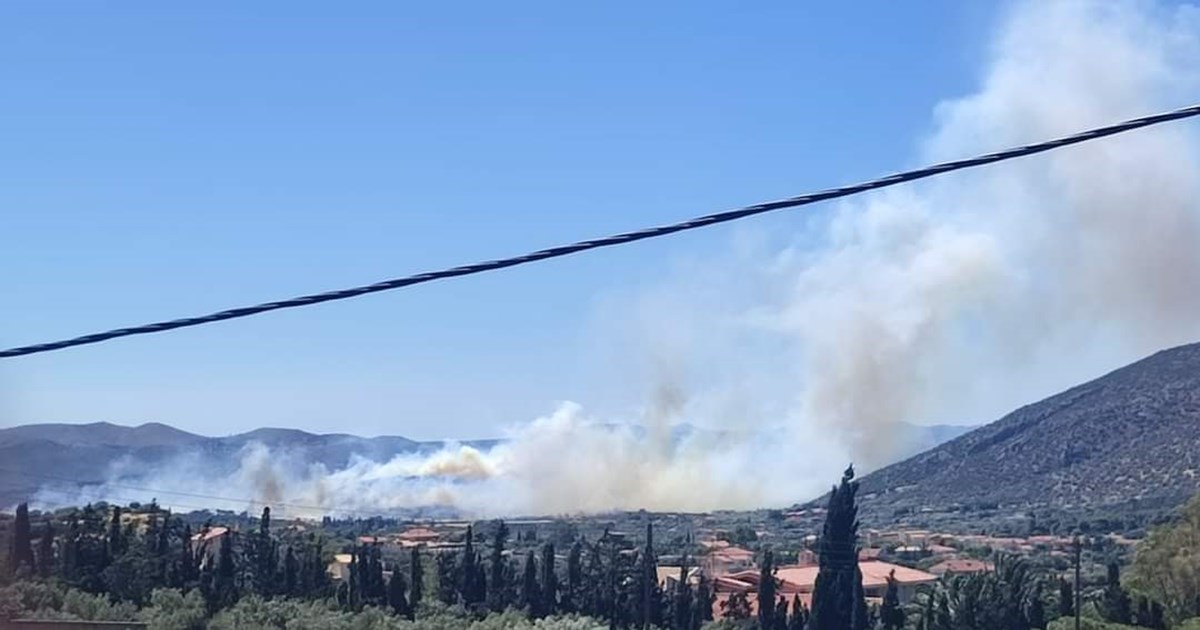Δύσκολη μάχη: Ανεξέλεγκτη η φωτιά στην Κέρκυρα - 2 τραυματίες στο Ρέθυμνο - Ακόμη 5 πυρκαγιές σε εξέλιξη [Εικόνες-Βίντεο] - εικόνα 7