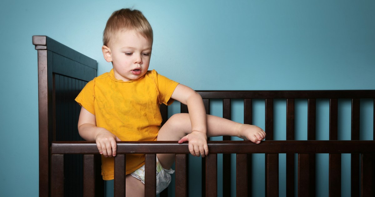 Πάτρα: Αλαλούμ με τον φονικό μύκητα Candida Auris - Διαψεύδεται ότι υπάρχουν 4 νεκροί - εικόνα 2