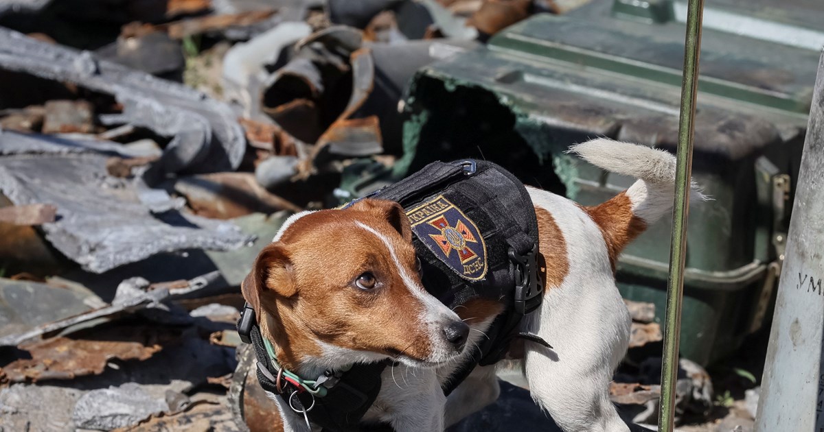 Βρετανός υπουργός Άμυνας: Οι Ρώσοι στρατιωτικοί διοικητές πρέπει να διωχθούν για τα εγκλήματα τους στην Ουκρανία