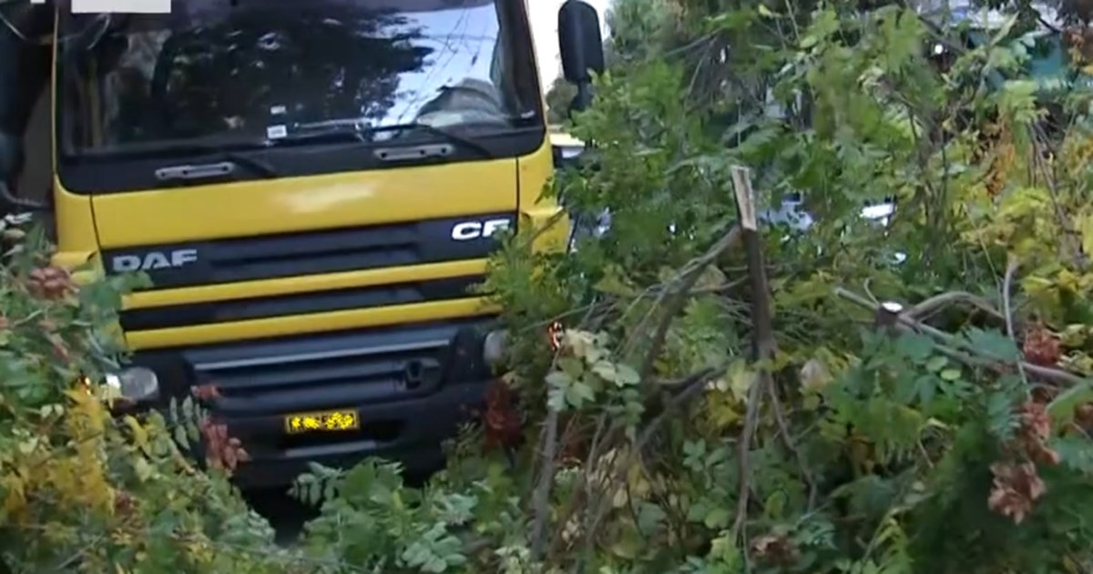 Δήμος Αθηναίων: Η πτώση του δέντρου στην Πατησίων αποδίδεται αποκλειστικά στην πρόσκρουση του φορτηγού - εικόνα 4