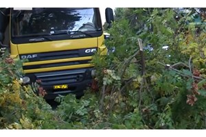 Δήμος Αθηναίων: Η πτώση του δέντρου στην Πατησίων αποδίδεται αποκλειστικά στην πρόσκρουση του φορτηγού - εικόνα 4