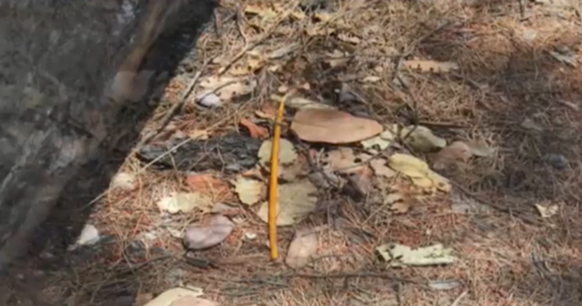 Γεωργαντάς: Στο τραπέζι η μείωση του ΦΠΑ σε ορισμένα προϊόντα