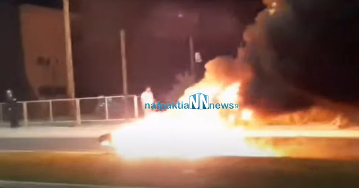 Οι τρεις όροι Κούγια για να αναλάβει την υπεράσπιση της Πισπιρίγκου: "Μόνο αν έτσι βοηθήσω την Δικαιοσύνη" [βίντεο] - εικόνα 2