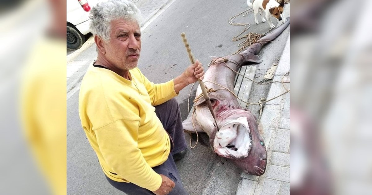 Δικηγόρος Φιλιππίδη: Οι κατηγορίες εναντίον του θα καταρρεύσουν - Είναι έωλες - εικόνα 2