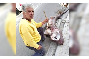 Δικηγόρος Φιλιππίδη: Οι κατηγορίες εναντίον του θα καταρρεύσουν - Είναι έωλες - εικόνα 2