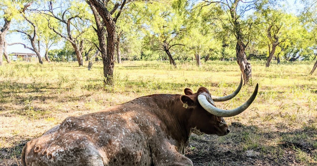 Χαλκιδική: Κατάδικος από αγροτικές φυλακές βίασε 22χρονη σε παραλία