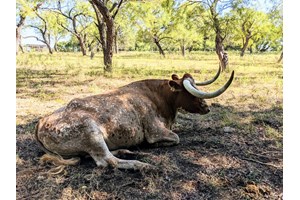Χαλκιδική: Κατάδικος από αγροτικές φυλακές βίασε 22χρονη σε παραλία