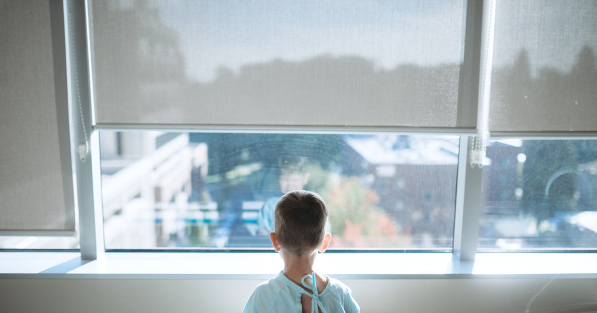 Πρύτανης ΑΠΘ: Η βιβλιοθήκη θα γίνει - Μια μικρή μειοψηφία προβαίνει σε εγκληματικές ενέργειες [βίντεο] - εικόνα 2