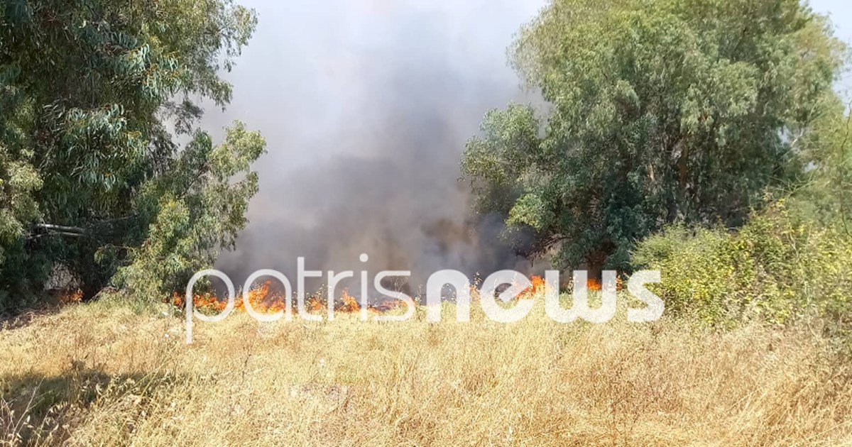 Θεσσαλονίκη: Σύλληψη τριών ατόμων για παράνομη διακίνηση μεταναστών