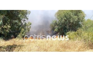 Θεσσαλονίκη: Σύλληψη τριών ατόμων για παράνομη διακίνηση μεταναστών