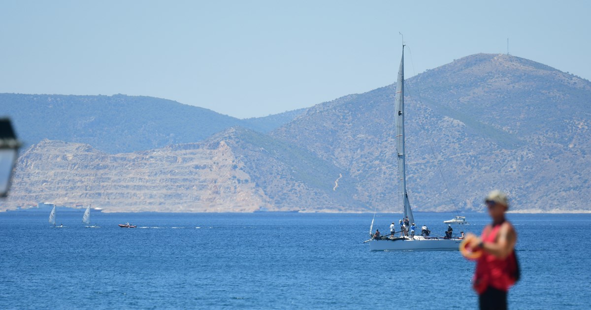 Βόλος: Συνελήφθη ο διαρρήκτης που έκλεψε κεταμίνες, αναισθητικά και ηρεμιστικά από κτηνιατρεία