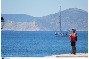Βόλος: Συνελήφθη ο διαρρήκτης που έκλεψε κεταμίνες, αναισθητικά και ηρεμιστικά από κτηνιατρεία