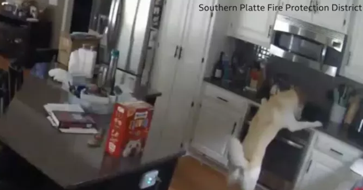 Αναβρασμός στις ΗΠΑ εν αναμονή της απόφασης του Ανώτατου Δικαστηρίου για τις αμβλώσεις - εικόνα 2