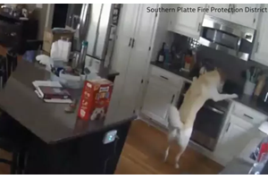 Αναβρασμός στις ΗΠΑ εν αναμονή της απόφασης του Ανώτατου Δικαστηρίου για τις αμβλώσεις - εικόνα 2