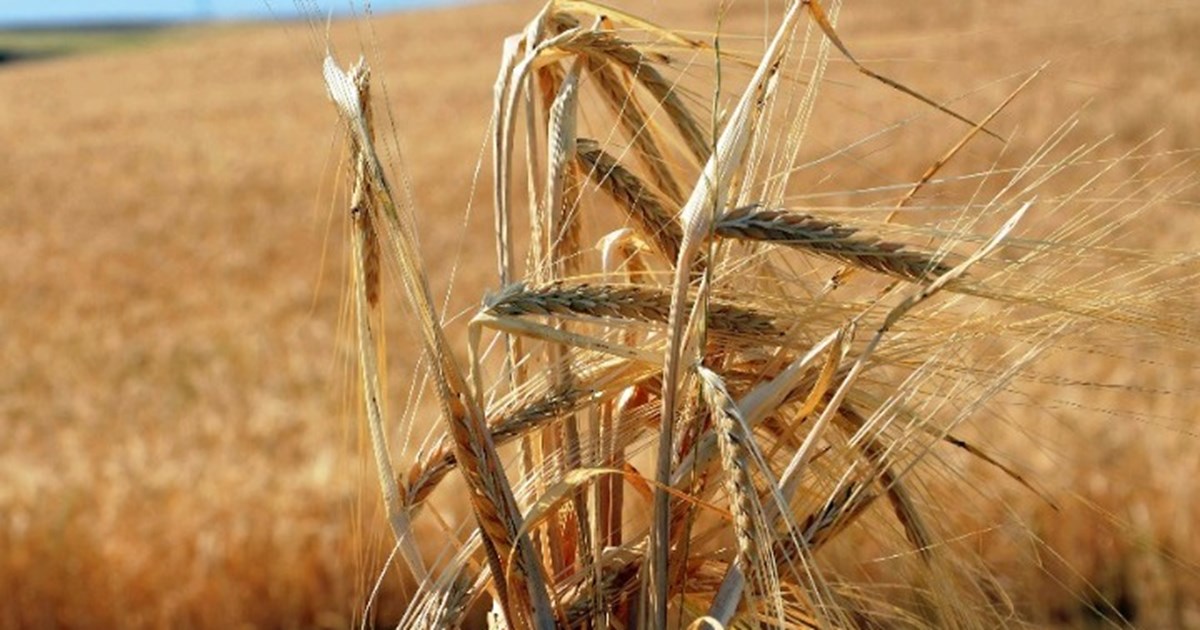 Ραντεβού Μητσοτάκη με Ντράγκι στην Ρώμη ενόψει Συνόδου Κορυφής - Βαρύ το κλίμα για την Τουρκία στις Βρυξέλλες - εικόνα 2